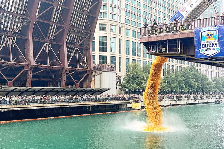 Chicago dumps 90K ducks in river